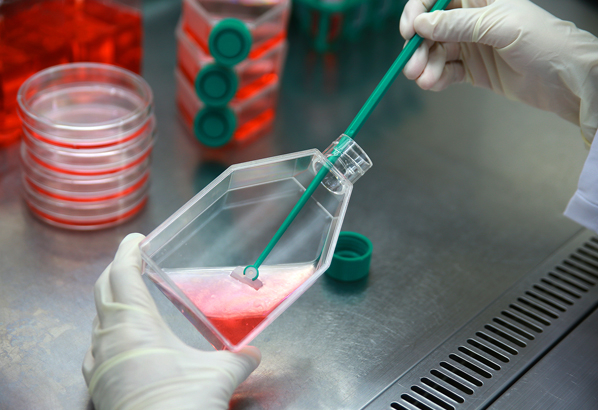 زیست‌شناسی سلولی (Cell Culture)