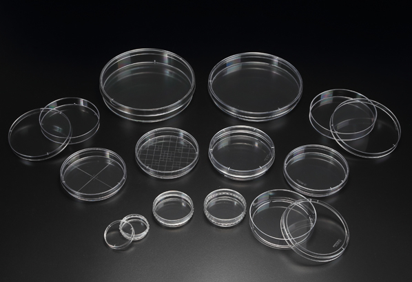 میکروبیولوژی (Microbiology)